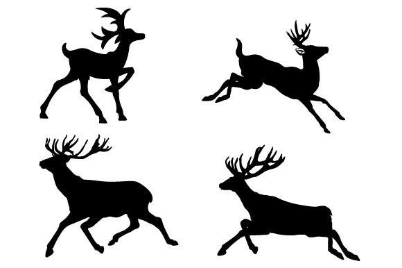 Download Deer Graphic Vector Design - Deer graphic Collection