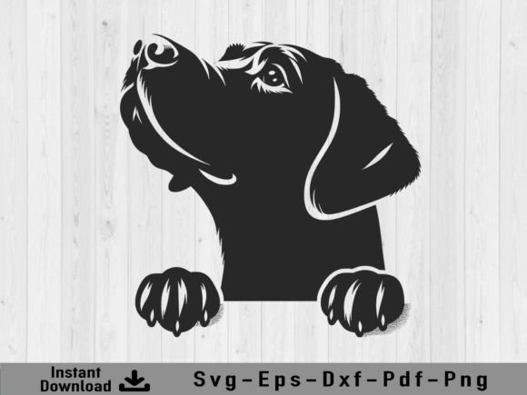 Download Peeking Labrador Retriever Dog Svg File - Dog Collection